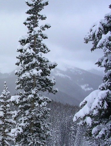Corona Pass